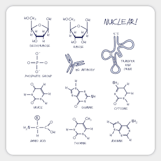 Nucleic Acid and Protein Structures Sticker